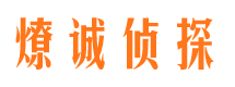 汝城市侦探